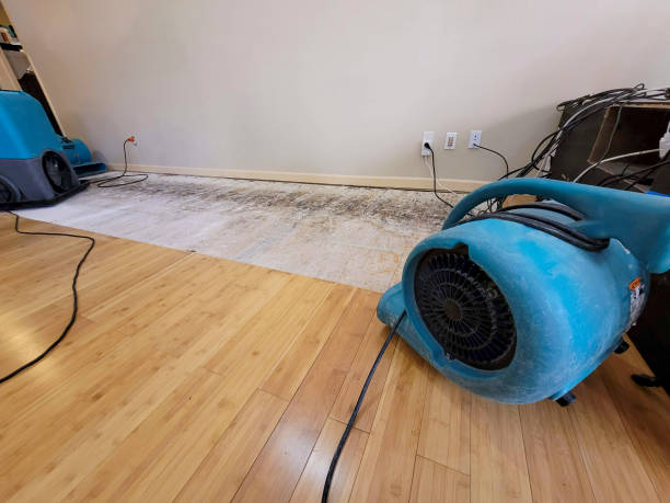 Professional Burst Pipe Water Damage technician working in Drayton, SC
